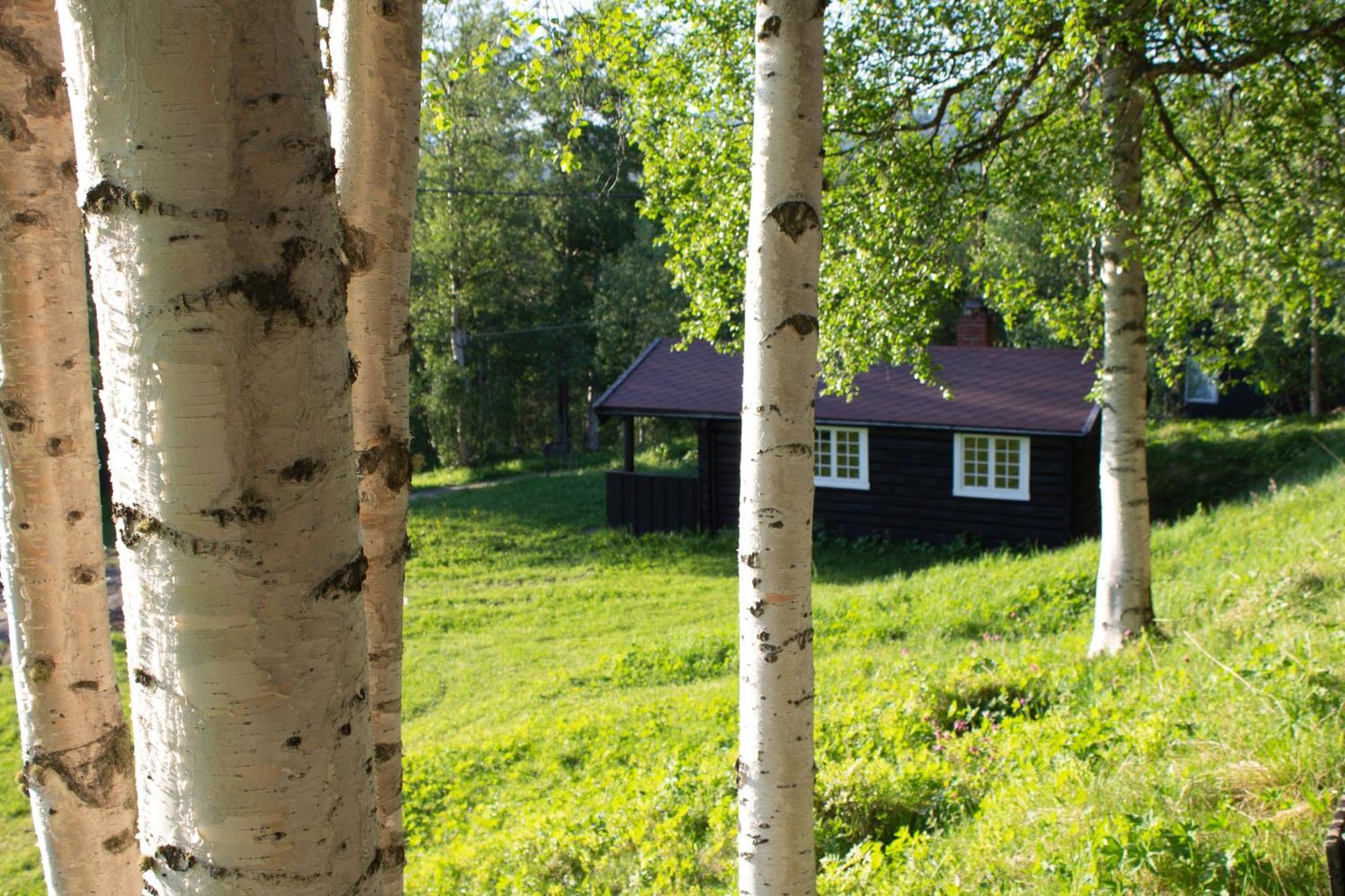 Ljoshaugen Camping Думбос Екстер'єр фото